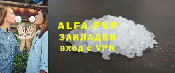 твердый Абаза