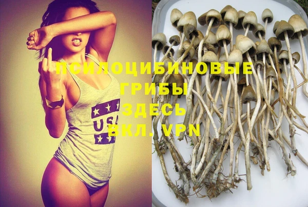 спайс Абдулино
